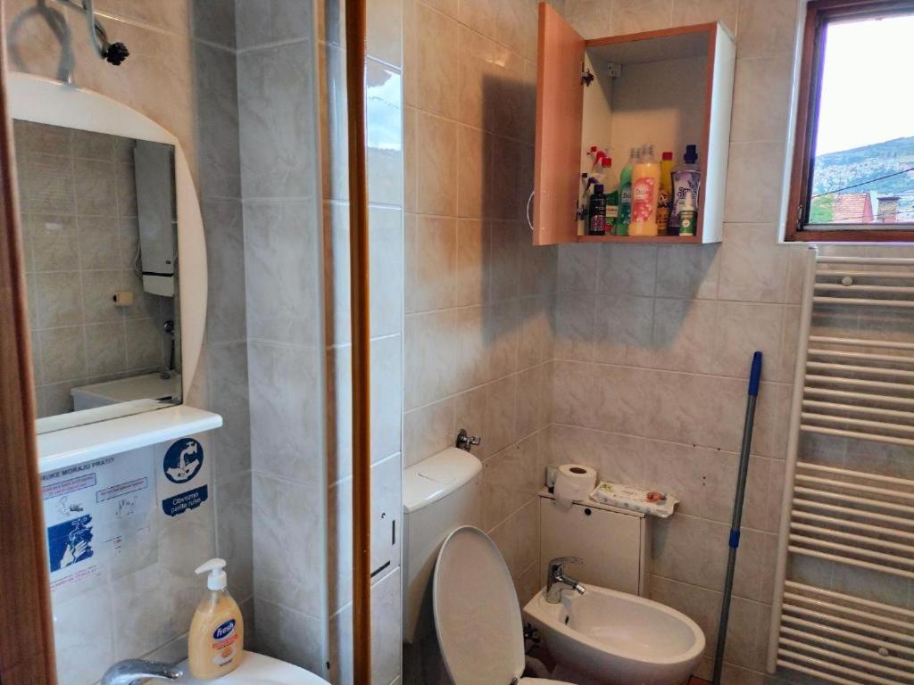 Exotic Nature Hostal
